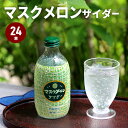 26日迄 ポイント+クーポン★マスクメロンサイダー 300ml 24本入り マスクメロン メロン サイダー ありそでなかった果実サイダー 友桝飲料 果実サイダー