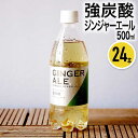 30日限定p3倍+クーポン◆純水使用 強炭酸 ジンジャーエール 500ml 24本 ジンジャーエール ジンジャー まとめ買い ケース買い セット ジュース 炭酸...