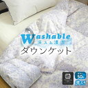 【お得な週末10%OFFクーポン配布中】 羽毛肌掛け布団 洗える 羽毛 ダウンケット 0.2kg 送料無料 シングル ロング 夏用 春用 ダウンケット 肌掛け ...