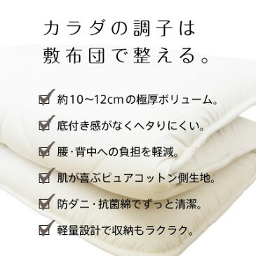 【送料無料】日本製東洋紡フィルハーモニー極厚三層敷布団 シングルロング日本製/国産/敷き布団/極厚三層構造/シングル/清潔/抗菌/防臭/防ダニ/ほこりが出にくい/ノンダスト/体圧分散/腰痛対策/肩こり対策/ へたりにくい/軽量