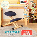 【全品10%OFFクーポン配布】 【送料無料】 北欧風 スタイルチェア グロウス 天然木 姿勢 高さ調整 学習チェア 勉強チェア チェア チェアー 学習椅子 学...
