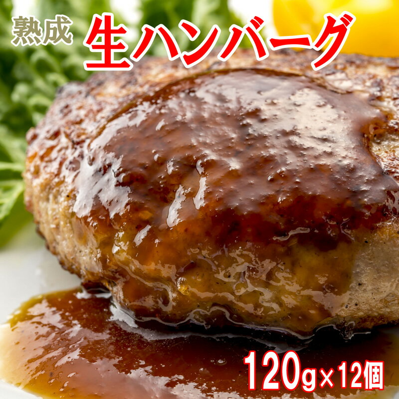 5%クーポン+P2倍 23-27日 熟成生 ハンバーグ 120g 12個 佐賀牛入り やわらか ジューシー 保存料未使用 本格 和牛 豚 ハンバーグ 生 熟成 冷凍 母の日 父の日