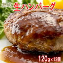 5%クーポン 5/6迄◆ 熟成生 ハンバーグ 120g×12個 佐賀牛入り やわらか ジューシー 保存料未使用 本格 和牛 豚 ハンバーグ 生 熟成 冷凍 母の日 父の日