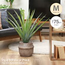 【クーポンで14％OFF！3/30 0:00~23:59限定！】観葉植物 雑貨 インテリア フェイクグリーン アロエ インテリアグリーン グリーン おしゃれ 人気 新生活 Mサイズ ポット セメントポット 鉢 植木鉢 グリーンポット 幅70 人工植物 人工グリーン 初心者