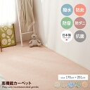 ラグ 江戸間3帖 畳 抗菌 防臭 防炎加工 ダニ 撥水 はっ水 防音 子供 キッズ 赤ちゃん ペット 汚れにくい お手入れ簡単 日本製 made in japan ループパイル ホット 床暖房対応 176×261 ふかふか