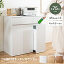 【クーポンで15%OFF! 7/15 0:00~23:59まで★】Basurero バスレーロ ゴミ箱 分別 45リットル 45L ダストボックス キッチンカウ...