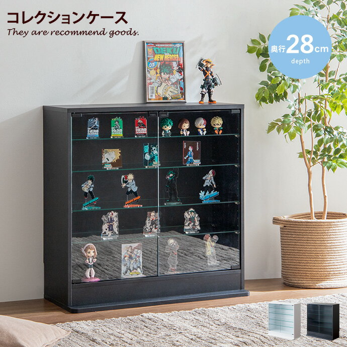 Legen レーゲン コレクションケース 