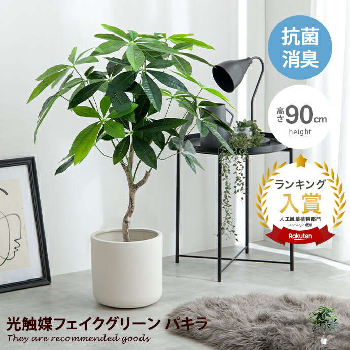 楽天市場】フェイクグリーン パキラ 150㎝の通販 楽天市場】フェイクグリーン パキラ 150㎝の通販