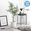 観葉植物（売れ筋ランキング） 【クーポンで15％OFF！5/9 20:00~5/10 23:59限定！】Nature ナチュレ 観葉植物 オリーブ フェイクグリーン 人工 室内 リビング オフィス 一人暮らし 緑 インテリア 光触媒 空気清浄 消臭 抗菌 防汚 ホルムアルデヒド分解 高さ125cm 人工 造花 観葉 植物 植木 鉢植え