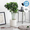 カポック 【クーポンで14％OFF！4/26 0:00~4/27 9:59まで！】Nature ナチュレ 観葉植物 カポック シェフレラ フェイクグリーン 人工 室内 リビング オフィス 一人暮らし 緑 インテリア 光触媒 空気清浄 消臭 抗菌 防汚 ホルムアルデヒド分解 高さ90cm 人工 造花 観葉 植物 植木