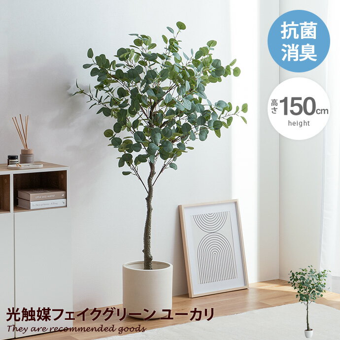 楽天家具350 インテリア家具・雑貨【MAX50％OFF！5/15 0:00~23:59 限定！】Nature ナチュレ 観葉植物 ユーカリ フェイクグリーン 人工 室内 リビング オフィス 一人暮らし 緑 インテリア 光触媒 空気清浄 消臭 抗菌 防汚 ホルムアルデヒド分解 おしゃれ 高さ150cm 造花 植木 鉢植え 新築祝い 開店 開業