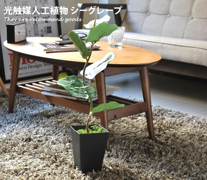 楽天家具350 インテリア家具・雑貨【クーポンで11％OFF！ 5/18 0:00~23:59まで★】観葉植物 光触媒 造花 グリーン 人工植物 アートフラワー 植物 モダン シーグレープ 人工 人気 消臭 シンプル 抗菌 除菌 ホルムアルデヒド タバコ 防菌 バーゲン 北欧 ペット