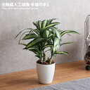 人工観葉植物 フェイクグリーン 人工植物 光触媒 インテリアグリーン 造花 インテリア 幸福の木 消臭 抗菌 V-CAT グリーン お家で過ごす おうち時間 お...