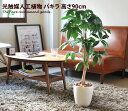 楽天家具350 インテリア家具・雑貨【クーポンで15％OFF！4/24 20:00~4/25 23:59まで】観葉植物 光触媒 造花 パキラ グリーン ホルムアルデヒド ペット モダン 北欧 消臭 防菌 人工植物 バーゲン 人気 人工 抗菌 アートフラワー タバコ 植物 パキラ