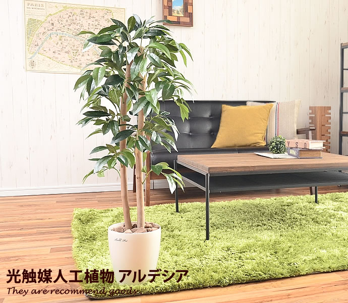 【クーポンで16％OFF！10/4 20:00〜10/5 23:59まで！】観葉植物 光触媒 造花 アルデシア グリーン 人工植物 シンプル 抗菌 植物 ホルムアルデヒド アートフラワー 北欧 人工 防菌 消臭 ペット モダン タバコ