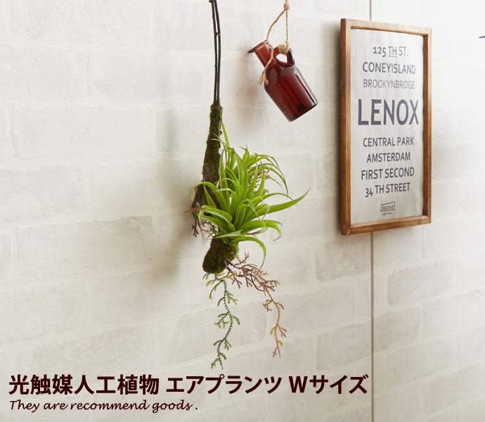 【クーポンで14％OFF！6/12 0:00〜23:59まで！】観葉植物 エアプランツ エアープランツ air plants 消臭 おしゃれ 壁掛け 吊り下げ 光触媒 オフィス 人工 抗菌 植物 造花 防菌 グリーン ギフト イミテーショングリーン 癒し 室内 プレゼント