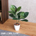 【★MAX50%OFF!5/15 0:00〜5/16 1:59まで★】人工観葉植物 フェイクグリーン 人工植物 光触媒 インテリアグリーン 造花 インテリア ゴムの木 消臭 抗菌 V-CAT グリーン お家で過ごす おうち時間(4)