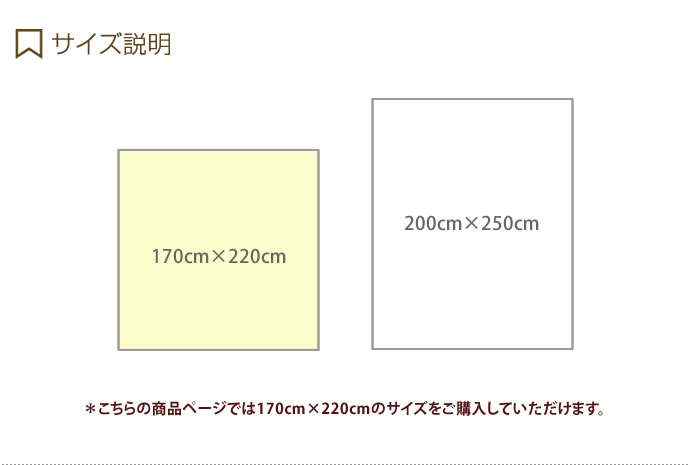 【クーポンで14％OFF！8/28 0:00〜23:59まで！】【170cm×220cm】 ラグマット ラグ マット ストライプ 長方形 約2畳 リビング 部屋 カーペット 絨毯 オールシーズン 国産 日本製 洗える 防ダニ 床暖房対応 滑り止め 抗菌 軽量 モダン 西海岸 ナチュラル シンプル カフェ