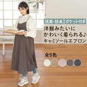 保育士 エプロン ワンピース 被る 被り かぶるだけ 大人 ロング 丈 家事 ポケット2つ付き ポリエステル100% 抗菌加工 防臭加工 キッチンエプロン おし...