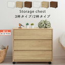 【組立品/完成品が選べる】 ローチ