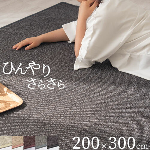 ラグ 滑り止め 竹 ラグマット カーペット 長方形 ラグカーペット carpet リビング 和風 子供部屋 rug ダイニング 敷物 涼しい さらさら 春 夏 夏用 おしゃれ 200×300cm 夏用カーペット 父の日 ふっくら 竹カーペット バンブーラグ