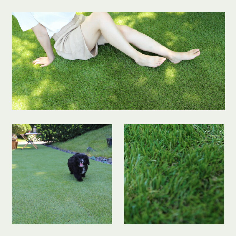 �͹��� ������ ���𥷡����դ� 1m��10m 1m��5m �Ǿ�35mm 20mm �ꥢ�� ̩��48.5����/m2 ���η� ���𥷡����� �����ޥå� ����ԥ��� �ꥢ��͹��� �� �٥��� �ƥ饹 �����к� ���� �� �ɥå���� �Ҷ� ͷ�Ӿ� ���� ���� ��Ϥ� �����ǥ˥� DIY