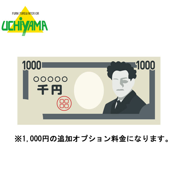 追加オプション料金 1000円