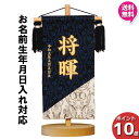 【今得!超ポイントバック祭】 【ポイント10倍】 名前旗 男の子 男の子 刺繍 初節句 名前入り プレゼント 子供 端午の節句 5月 菖蒲の節句 守田 平安豊久...