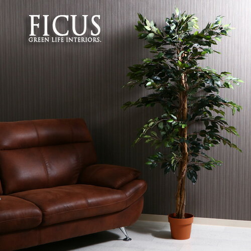 楽天家具団地観葉植物 フェイク FICUS フィカス ゴムの木 A 170cm 大型 造花 インテリア 植物 フェイクグリーン 人工観葉植物 イミテーション リアル 大きめ 大きい 本物そっくり おすすめ おしゃれ かわいい プレゼント 送料無料