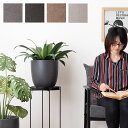 【ボーナスSALE開催中】グリーンベース 植木鉢 プランターカバー 植物 インテリアマット 植え込み 部屋 アイテム プランター 植木鉢 ニュアンスカラー マッ...
