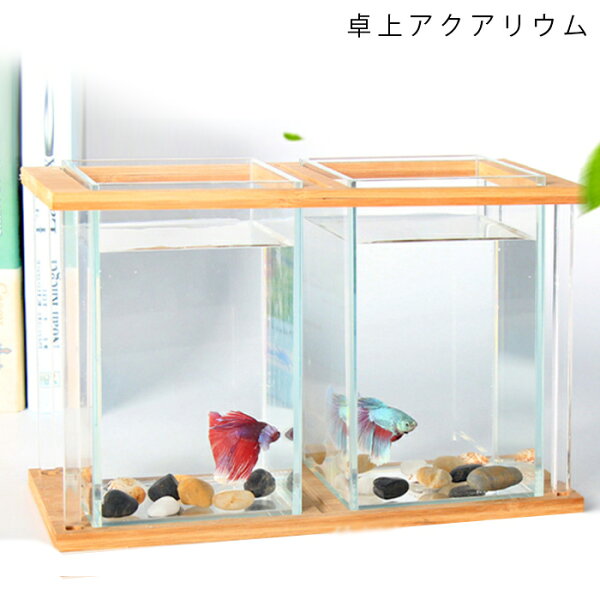 マリモ 水槽 みんな探してる人気モノ マリモ 水槽 ペット ペットグッズ マリモ 水槽 みんな探してる人気モノ マリモ 水槽 ペット ペットグッズ