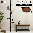 突っ張り棒&パーツ 6点セット(丸型) オシャレ ディスプレイ 小物収納 シンプル 突っ張り 賃貸 つっぱりラック 木目 ブラウン 白 ホワイト スタイリッシュ...