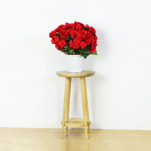 11/20()00:002000OFFݥ ŷ ̵    ⤵50 ʥ դ ̲ Ω  50