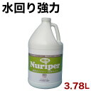 【ボーナスSALE開催中】水回り用洗剤 水回り洗剤 業務用 強力水回り用洗剤 酸性 浴室 蛇口 トイレ タイル プール ヌメリ 水あか 洗剤 ボトル 酸性ヌリッ...