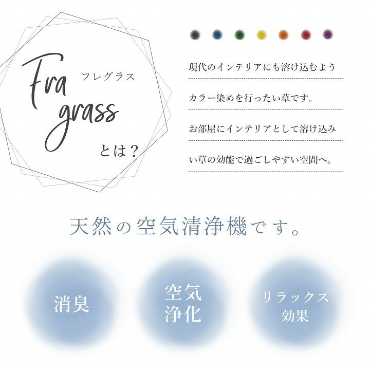 thum3
