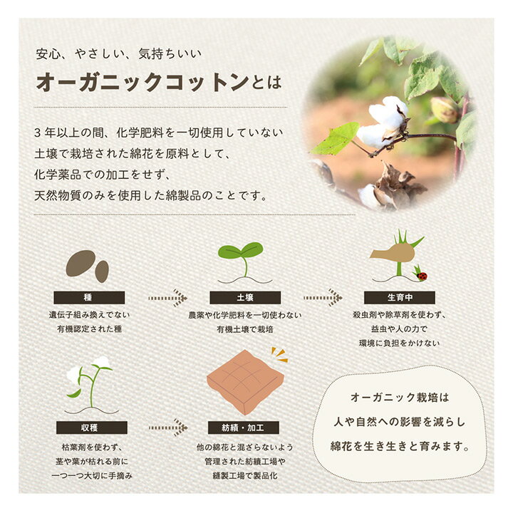 最大3000円OFFクーポン配布中 06/14(日)00:00〜 クッション 四角 厚い 持ち運び 日...