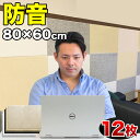 【マラソン限定 P2倍】断熱パネル 消音パネル 80cm x60cm 45度カットタイプ 12枚セット YouTuber DIY吸音パネル 高密度フェルト製 防音 賃貸マンションでも床や壁に貼るだけ 断熱材 冷房や暖房の効率アップで節電にもなる 送料無料 テレワーク
