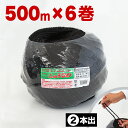 【期間限定ポイント2倍】しゅろ縄 玉巻 3mm×500m 黒 (二本出) 6巻 6個入 入り数6 棕櫚 シュロ クロ ガーデニング 庭 農業 業務資材 支柱結束...