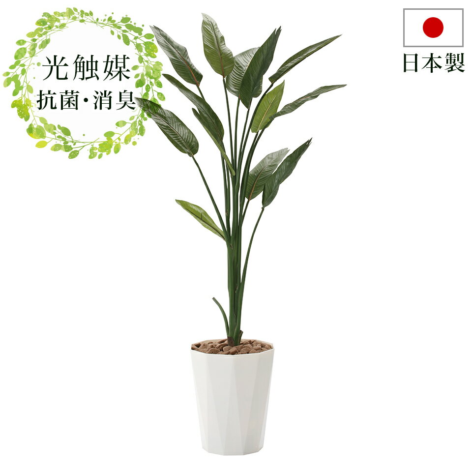 フェイクグリーン 光触媒 幅65cm 光触媒人工観葉植物 おしゃれ 造花 抗菌 消臭 日本製 玄関 観葉植物 光触媒 ニオイを分解 V-CAT 防汚 ホルムアルデヒド分解力 タバコやペットの 臭い対策 幅60 ストレチア お祝い等ギフトにもお勧め/通販/送料無料 【送料込み】 新生活