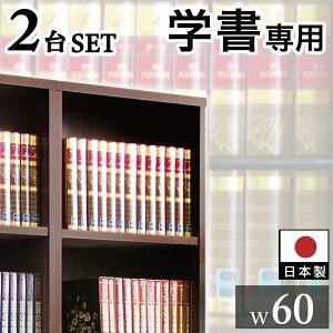 強化シェルフ 2台セット 本棚 書棚 強化書棚 幅120 筋肉シェルフ シック ダークブラウン 板厚2.5cm 頑丈 辞書 辞典 蔵書 図鑑 専門書 書籍 医学書 保管 たわまない 丈夫 強い 士業 重役室 応接室 社長室 書斎 映える 国産 日本製 A4 可動棚 幅60 本棚 大容量 a4 本棚漫画収納