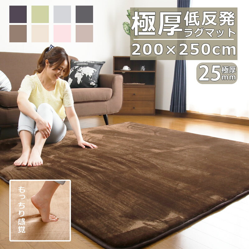 Rakuten - ラグ 低反発 極厚25mm 200×250cm 厚手 滑り止め ラグマット カーペット ホットカーペット対応 リビング オールシーズン 北欧 モダン 防音マット 厚め 長方形 1人暮らし 家族 新生活