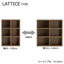 【STRONG SHELF ストロングシェルフ ロータイプSL(高さ約114cm)】4色から選択! A4収納 オープンラック LATTICE TYPE ラチスタ...