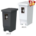 エバン密閉ペダルペール20L 台所 ペール ゴミ箱 パッキン付 密閉 ペダル 防臭 20L アスベル ブラック ホワイト 一人暮らし