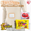 カイロ 貼るカイロ ミニ 30枚 使い捨てカイロ まとめ買い 使い捨て 貼る 貼るタイプ 貼るカイロミニ レジャー お出かけ 屋外 防寒 寒さ対策 防災 備蓄 ...