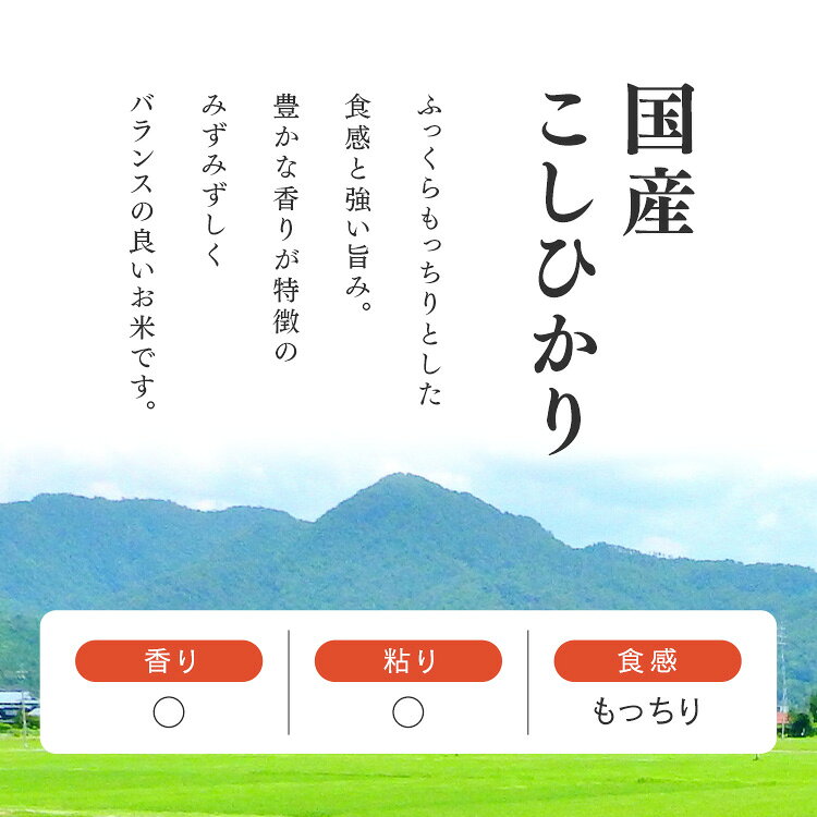 米 パックご飯 200g 24食 こしひかりパックご飯 アイリスオーヤマ 送料無料 こしひ...