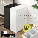 ゴミ箱 45L おしゃれ 分別 30L キッチン 30リットル 45リットル ふた付き スリム コンパクト キッチン スチールペール ダストボックス 蓋付き シンプル 省スペース 見えない 分別 棚下 簡単組み立て マグネット 隠せる アイリスオーヤマ STPL-30 STPL-45