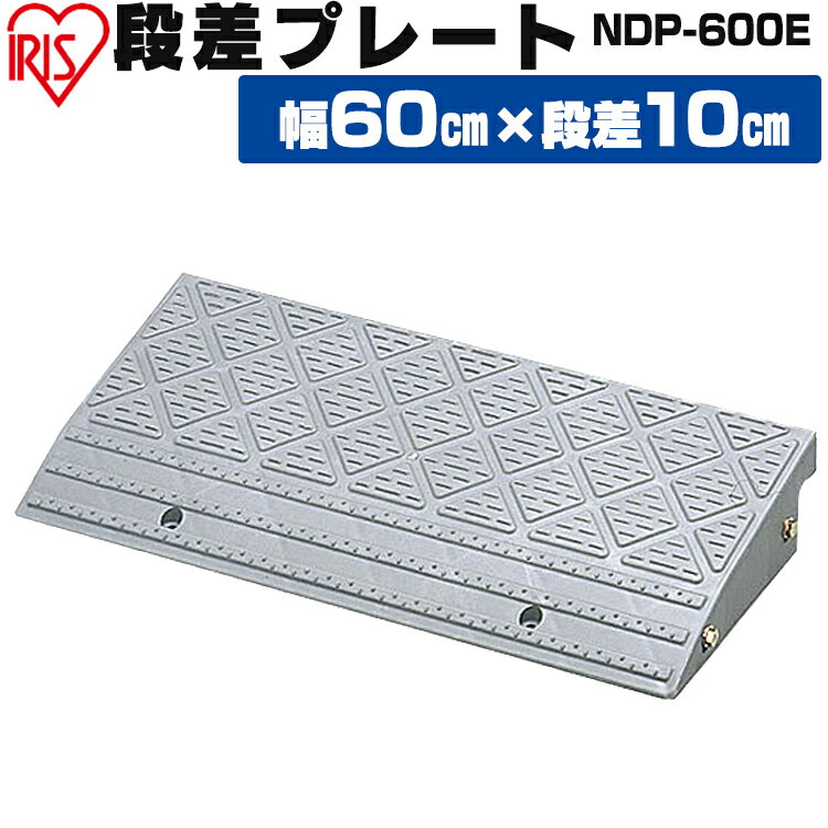 段差プレート 10cm段差 屋外用 幅60cm 10cm段差 プラ NDP-600E 段差スロープ  ...