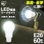 LEDŵ E26۸ 60  LDA7N-G-C3 LEDŵ ŵ 饤  饤 åץ饤  LED饤 åץ饤ȸŵ 饤ȥ꡼  ꥹ