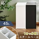 ゴミ箱 45リットル おしゃれ ごみ箱 分別 スリム 蓋付き スチールペール 45L 袋 見えない ダストボックス シンプル コンパクト キッチン カウンター アイリスオーヤマ 一人暮らし STPL-45 分別 棚下 簡単組み立て マグネット