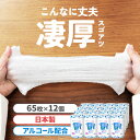 【25日最大P18倍】【12個セット】ウェットティッシュ アルコール除菌 厚手65枚入り 本体 アルコール 厚手 WTB-65A ウェットティッシュ アルコール エタノール 除菌 除菌シート 厚手 厚め 厚み 日本製 国産 ボトル 容器 ケース 65枚入り 12個 セット アイリスオーヤマ